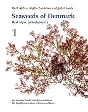 Seaweeds Of Denmark 1 Red Algae Rhodo By Ruth Nielsen