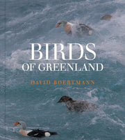 Birds Of Greenland An Annotated And Upd By Boertmann, David