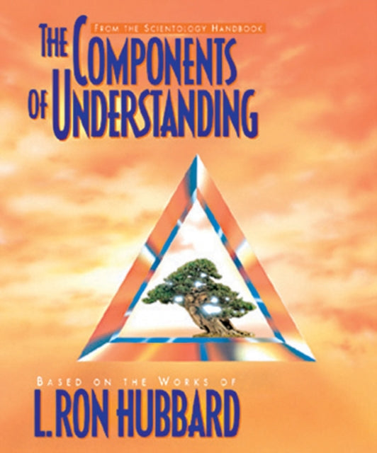 Components Of Understanding
