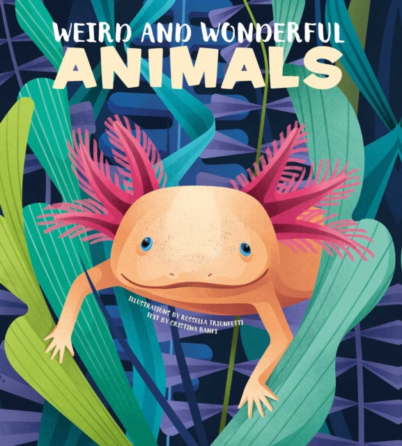 Weird & Wonderful Animals