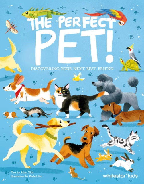 Perfect Pet