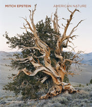 American Nature