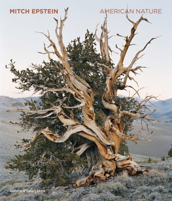 American Nature