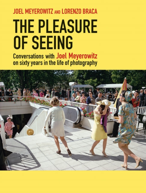 Pleasure Of Seeing