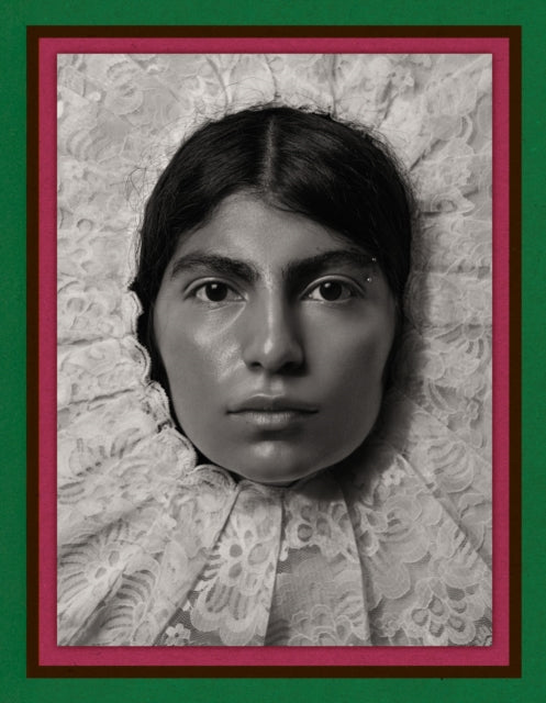 Pieter Henket Birds Of Mexico City By Henket, Pieter