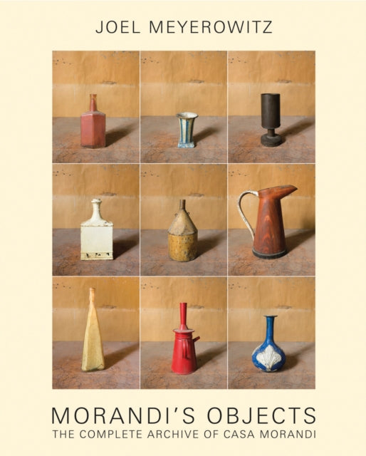 Joel Meyerowitz Morandis Objects