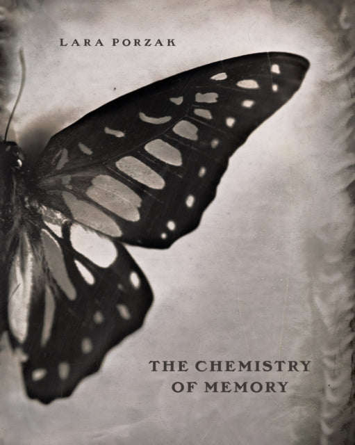 The Chemistry Of Memory By Lara Porzak