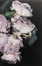 Martin Maeller Nervous Dust