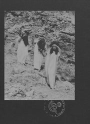 Le Nemesiache Reclaiming Mythological
