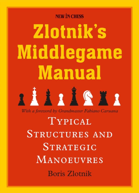Zlotnik S Middlegame Manual