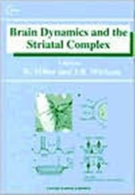 Brain Dynamics & The Striatal Complex