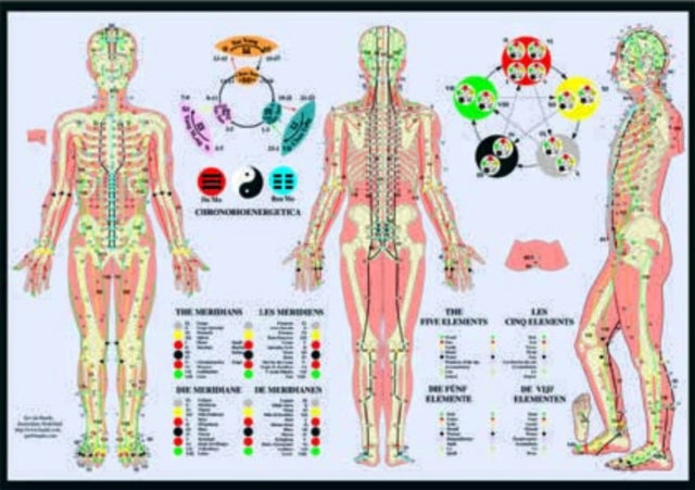 Meridians & The Five Elements By Plastified, A