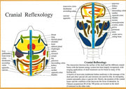 Cranial Reflexology