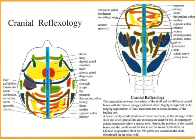 Cranial Reflexology