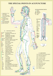 Special Points In Acupunture