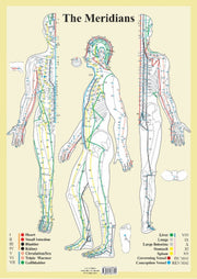 Meridians