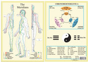 Meridians