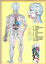 Masunaga Zen Shiatsu Ketsu