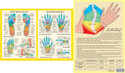 Hand & Foot Reflexology