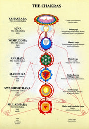 Chakras