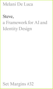 Steve A Framework For Ai & Identity Desi