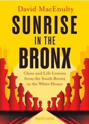 Sunrise In The Bronx