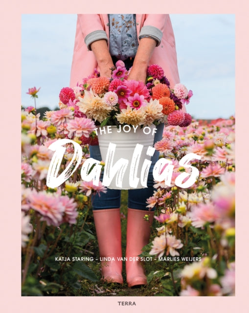 Joy Of Dahlias