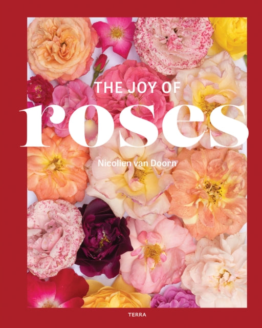 Joy Of Roses