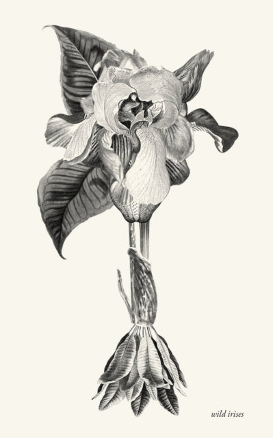 Wild Irises