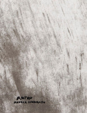Antro