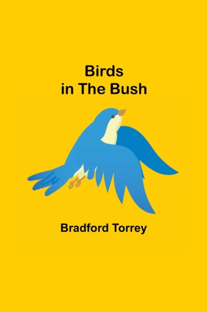 Birds In The Bush