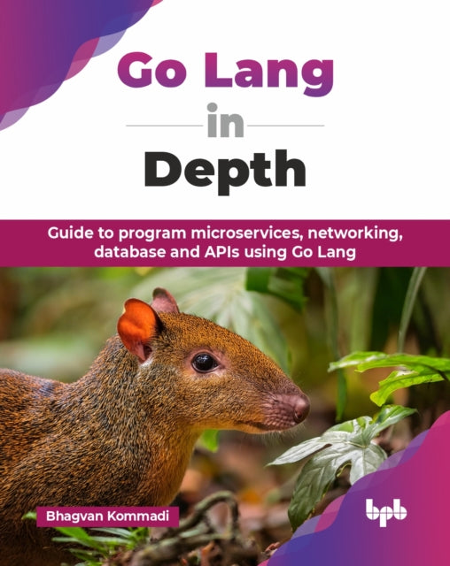 Go Lang In Depth: Guide To Program Micro