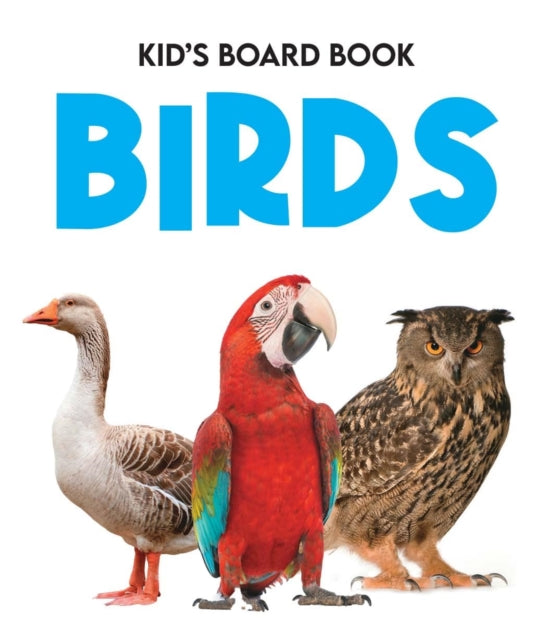 Kids Board Book Birds By Moonstone