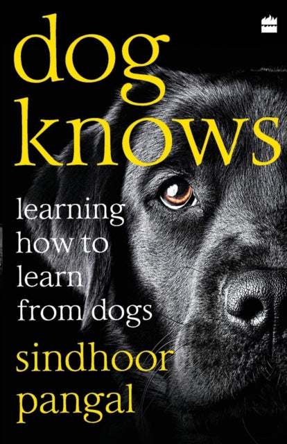 Dog Knows: Learning How To Learn From Do