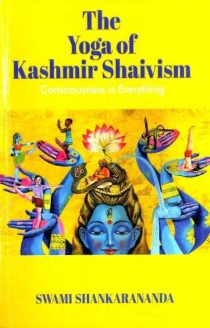 Consciousness Is Everything By Shankarananda, Swami