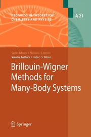 Brillouin-wigner Methods For Many-body S