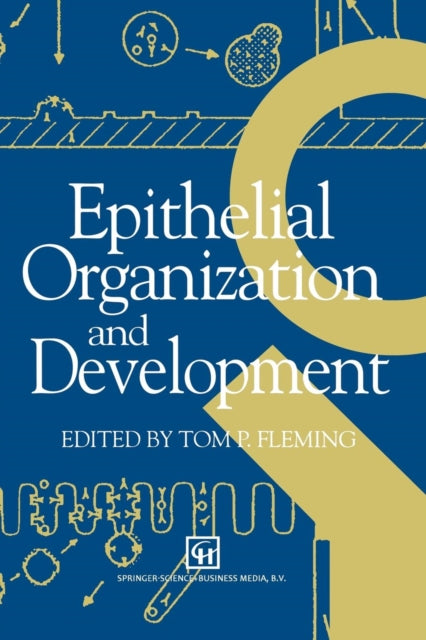 Epithelial Organization And Development