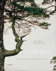 Borealis By Toirkens, Jeroen