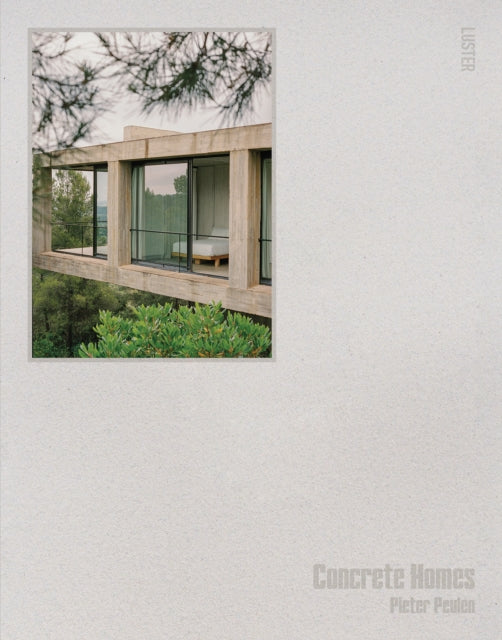 Brutalist Homes