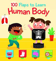 Human Body