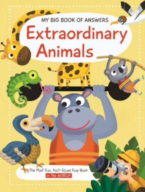 Big Book Of Answers Extraordinary By Unknown