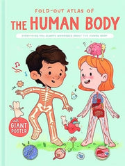 Foldout Atlas Of The Human Body By Yoyo Books