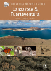 Lanzarote & Fuerteventura