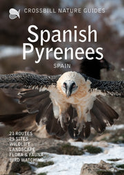 Spanish Pyrenees