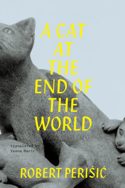 A Cat At The End Of The World By Vesna Maric