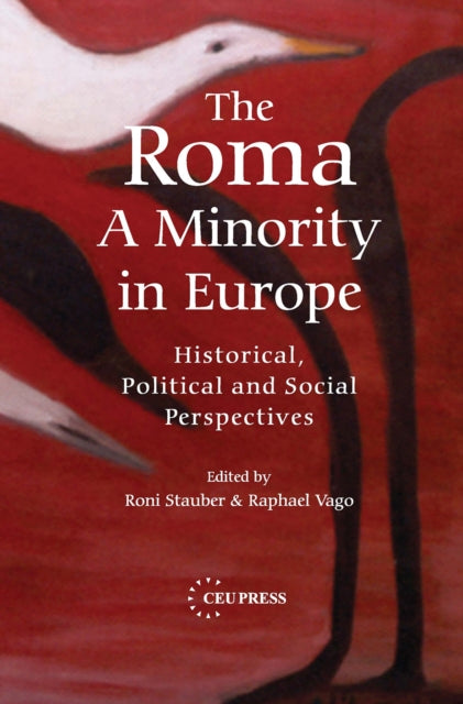 The Roma A Minority In Europe