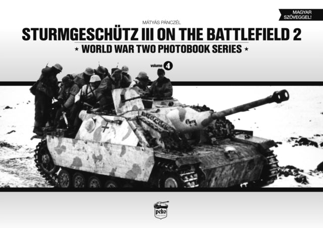 Sturmgeschutz Iii On The Battlefield