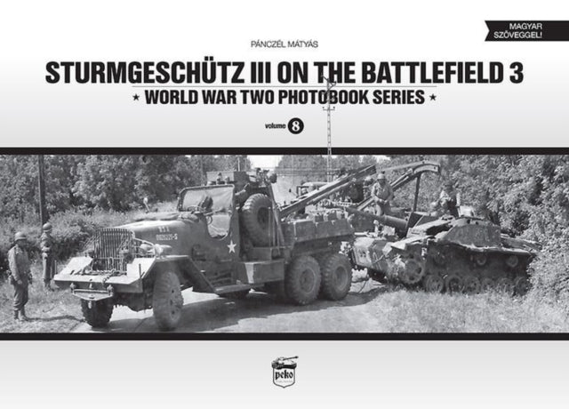 Sturmgeschutz Iii On The Battlefield 3
