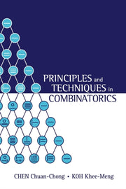 Principles And Techniques In Combinatori