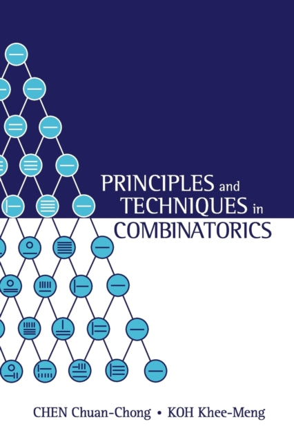 Principles And Techniques In Combinatori